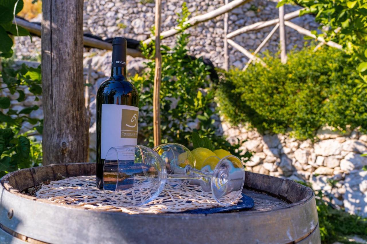 Poggio Angelarosa: Lemon Garden Stay&Relax Scala Esterno foto