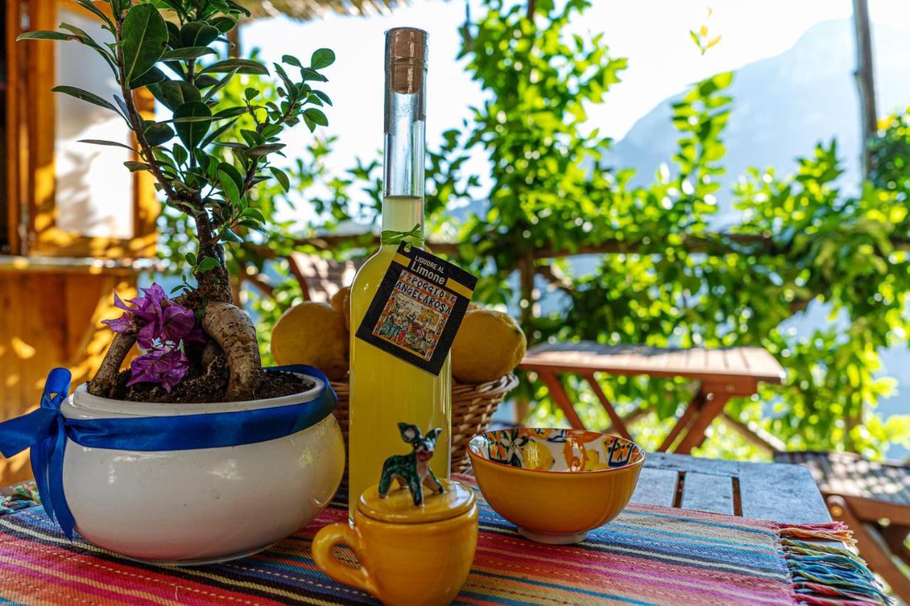 Poggio Angelarosa: Lemon Garden Stay&Relax Scala Esterno foto